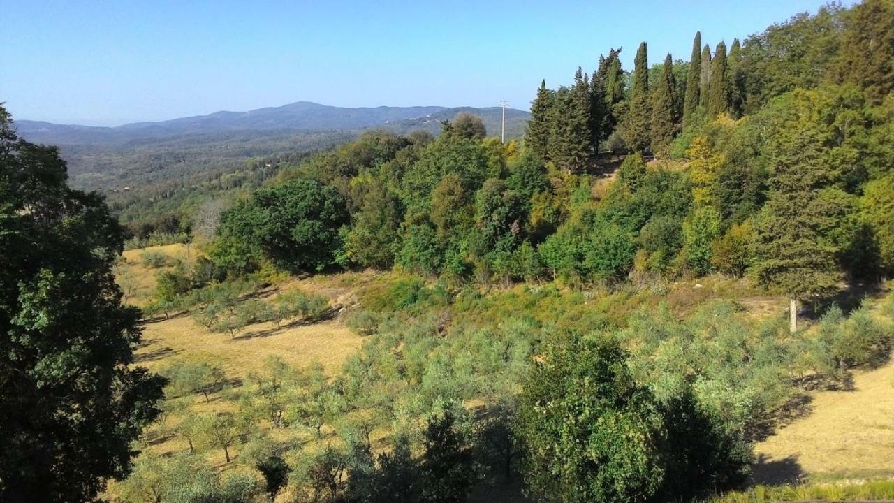 La Casa Dei Sogni Διαμέρισμα Monteverdi Marittimo Εξωτερικό φωτογραφία