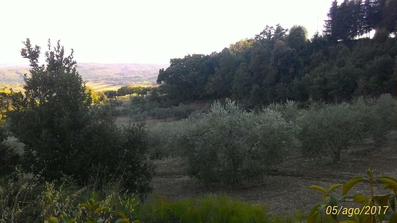 La Casa Dei Sogni Διαμέρισμα Monteverdi Marittimo Εξωτερικό φωτογραφία