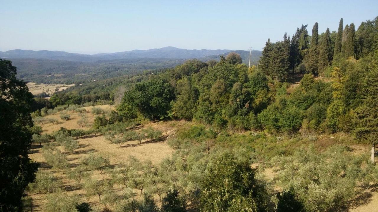 La Casa Dei Sogni Διαμέρισμα Monteverdi Marittimo Εξωτερικό φωτογραφία